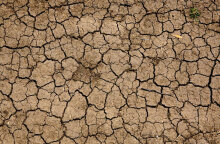 Η ξηρασία επηρεάζει πολλές περιοχές του πλανήτη, καθώς η κλιματική αλλαγή συνεχίζεται