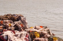 «Ένας αόρατος δολοφόνος»: Πώς τα αλιευτικά εργαλεία έγιναν το πιο θανατηφόρο θαλάσσιο πλαστικό