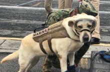 Η Φρίντα παίρνει σύνταξη από το Πολεμικό Ναυτικό