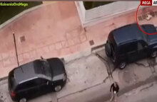 Το νεκρό κανίς στη Δραπετσώνα μετά την επίθεση από λυκόσκυλο