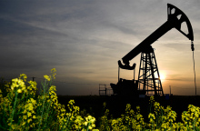 Πετρελαιοπηγή