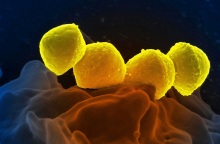 Ανησυχία για στρεπτόκοκκο Α σε σχολεία της Βρετανίας - Έξι παιδιά νεκρά