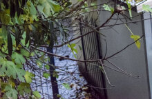 Νεκρός μαθητής στις Σέρρες μετά την έκρηξη στο λεβητοστάσιο δημοτικού σχολείου