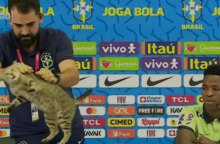 Η γάτα που «διέκοψε» τη συνέντευξη Τύπου του Βινίσιους στο Μουντιάλ του Κατάρ απομακρύνεται με βάναυσο τρόπο