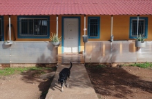 Επισκεφθήκαμε το ΚΑΖ. Στην πλευρά της εισόδου βρίσκεται ο χώρος με τα ηλικιωμένα σκυλιά του καταφυγίου