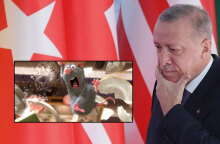 Ο Γερμανός πολιτικός Βόλφγκανγκ Κουμπίκι είχε αποκαλέσει «μικρό αρουραίο Ρατατούη» τον Ερντογάν