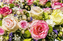 Λουλούδι - γιορτή