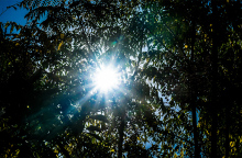 Καιρός - Ήλιος