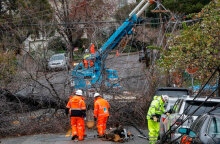 Πτώσεις δέντρων στην Καλιφόρνια από τους θυελλώδεις ανέμους