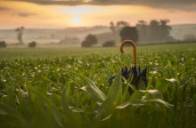 Αλλάζει το σκηνικό του καιρού από σήμερα Δευτέρα (9/1) με βροχές να εκδηλώνονται στα δυτικά