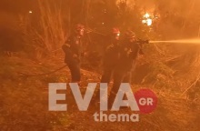 Φωτιά στην Εύβοια: «Σημαντική» η οικολογική ζημιά στα Ψαχνά