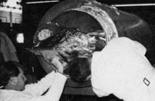 Σαν σήμερα 12 Ιανουαρίου του 1967 πέθανε ο James Bedford