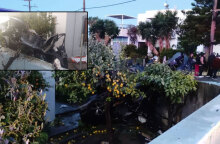 Το αυτοκίνητο στην Κω μέσα σε αυλή σπιτιού μετά το τροχαίο με τους δύο νεκρούς