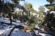 Καλλιάνος - Καιρός: Χιόνια και στην Αττική από την Παραασκευη