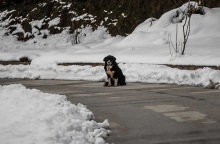 Κακοκαιρία «Μπάρμπαρα» - Καλλιάνος: Με εντυπωσιακό τρόπο θα «χτυπήσει» ο χιονιάς την Αττική