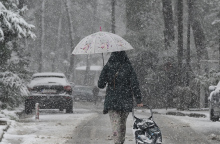 Χιονόπτωση στον Διόνυσο