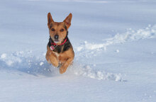 Χιόνια και αύριο Τρίτη (7/2) έχει ο καιρός