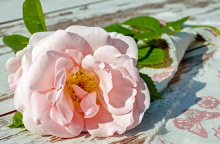 Μπουκέτο λουλούδια