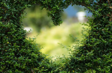 Ο Άγιος Βαλεντίνος γιορτάζεται σήμερα με γενικά αίθριο καιρό