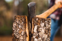 Καβάλα: Νεκρός 55χρονος βοσκός - Καταπλακώθηκε από δέντρο που πήγε να κόψει