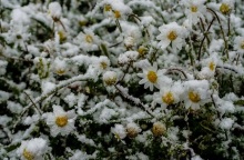 Παγετός στη βόρεια Ελλάδα: Το θερμόμετρο έδειξε μέχρι -8 βαθμούς Κελσίου