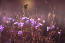 Γενικά αίθριος ο καιρός αύριο Δευτέρα (20/2)