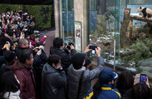 Με δάκρυα στα μάτια οι Ιάπωνες αποχαιρέτησαν την Ξιάνγκ -Ξιάνγκ, το πολυαγαπημένο τους πάντα