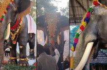 Ο ελέφαντας - ρομπότ στην Ινδία