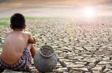 Επιστήμη- Περιβάλλον: Δάση και χώροι πρασίνου μειώνουν τους κινδύνους για την υγεία, επιβεβαιώνει παγκόσμια έκθεση	