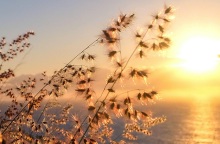 Μάρτιος 2023: Ο δεύτερος θερμότερος παγκοσμίως από το 1979