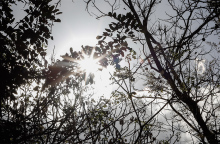 Ήλιος - καιρός