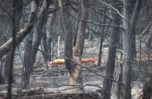 Δίκη για το Μάτι - Τεχνικός σύμβουλος των θυμάτων: «Γνώριζαν ότι έθεταν σε κίνδυνο ανθρώπινες ζωές»