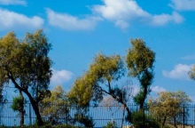 Καιρός: Γενικά αίθριος την Παρασκευή