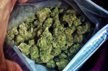 Μαρκόπουλο: Εξαρθρώθηκε κύκλωμα παραγωγής και διακίνησης ναρκωτικών