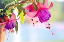 Εορτολόγιο: Σήμερα 10 Μαΐου 2023 γιορτάζει…