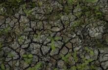 Αμαζόνιος: Μειώθηκε κατά 68% τον Απρίλιο η αποψίλωση του μεγαλύτερου τροπικού δάσους στον κόσμο - Τέσσερις μήνες αφότου ανέλαβε την εξουσία ο Λούλα ντα Σίλβα.