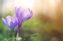 Εορτολόγιο: Σήμερα, 24 Μαΐου 2023 γιορτάζει…