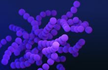 Στρεπτόκοκκος