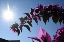 @Βασίλης Παπαδόπουλος/ EUROKINISSI