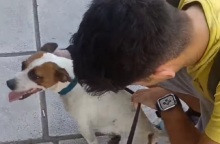 Βρήκε τον σκύλο του μετά από πέντε χρόνια