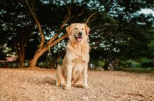 © Helena Lopes / Unsplash