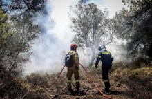 Φωτιά τώρα στην Εύβοια σε δασική έκταση