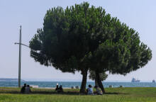 Καύσωνας στη Θεσσαλονίκη