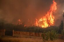 © Aris Oikonomou/ SOOC