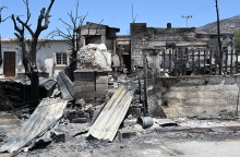 Φωτιά στον Κουβαρά: Εισαγγελική έρευνα για τα ζώα που κάηκαν