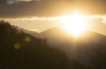 @ Dimitris Tosidis / SOOC