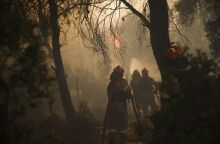  Συνεχίζεται η μάχη στα πύρινα μέτωπα © Dimitris Kapantais / SOOC