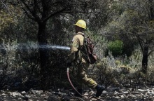 Φωτιά τώρα στην Υλίκη Βοιωτίας