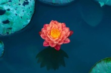 Εορτολόγιο: Σήμερα 26 Ιουλίου 2023 γιορτάζει…