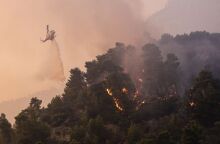 Σκληρή μάχη με τις φλόγες υπό δυσμενέστατες καιρικές συνθήκες © Menelaos Michalatos / SOOC